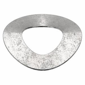 APPROVED VENDOR WAV116SS Wave Washer 5/16 Inch 18-8 Stainless Steel, 10PK | AB9JRJ 2DLP2