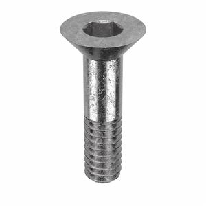 APPROVED VENDOR Z1624 Architectural Bolt Stainless Steel Button 3/8 x 1/4in | AB6BFU 20X962
