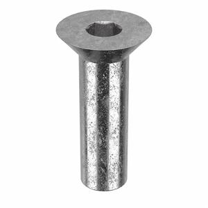 APPROVED VENDOR Z1665 Architectural Bolt Stainless Steel Flat 1/2 x 1 1/4in | AB6BDT 20X915