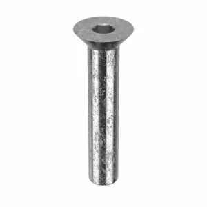 APPROVED VENDOR Z1670 Architectural Bolt Stainless Steel Flat 1/2 x 2 1/4in | AB6BDW 20X918