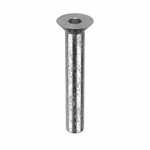 APPROVED VENDOR Z1671 Architectural Bolt Stainless Steel Flat 1/2 x 2 3/4in | AB6BDX 20X919