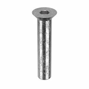 APPROVED VENDOR Z1684 Architectural Bolt Stainless Steel Flat 5/8 x 2 3/4in | AB6BEF 20X927