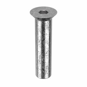 APPROVED VENDOR Z1699 Architectural Bolt Stainless Steel Flat 3/4 x 2 3/4in | AB6BEP 20X935