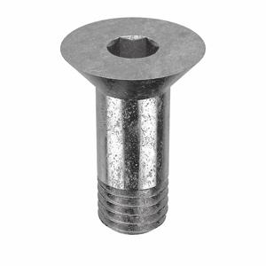 APPROVED VENDOR Z1784 Architectural Bolt Stainless Steel Button 3/4 x 1/2in | AB6BGC 20X970