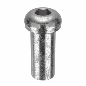 APPROVED VENDOR Z1832 Architectural Bolt Stainless Steel Button 7/8 x 2in | AB6BDP 20X912