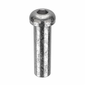 APPROVED VENDOR Z1836 Architectural Bolt Stainless Steel Button 7/8 x 3in | AB6BDR 20X914
