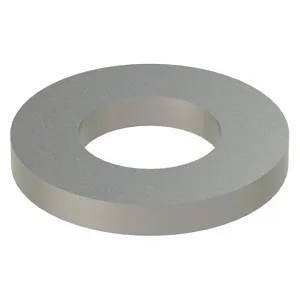 APPROVED VENDOR Z9209SS Flat Washer Thick 18-8 Stainless Steel Ss Fits 1 In | AE6HBX 5RY49