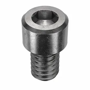 ARMOR COAT UST235917 Standard Socket Cap, Screw, 1/4-20 X 3/8 Size, 100Pk | AE7JUU 5YNA9