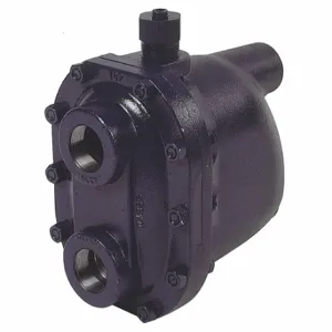 ARMSTRONG WORLD INDUSTRIES 125JD8 Steam Trap, 2 Inch Size NPT Connections, 6 5/8 Inch Size End to End Length | CN8VJD 36Y280