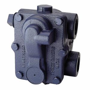 ARMSTRONG WORLD INDUSTRIES 175A4 Steam Trap, 1 Inch Size NPT Connections, 5 1/8 Inch Size End to End Length, Cast Iron | CN8VGL 36Y262