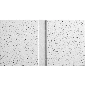 ARMSTRONG WORLD INDUSTRIES 1761C Ceiling Tile Angled Teg 48 x24 Inch PK10 | AG9WWR 22XJ42