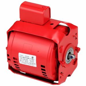 ARMSTRONG WORLD INDUSTRIES 805316-010 Circulating Pump Motor, Armstrong/Bell and Gossett, 805316-010, 1/12 hp, Single Phase | CN8VDF 43VM83