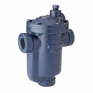 ARMSTRONG WORLD INDUSTRIES 813-100-250 Steam Trap, 1 Inch Size NPT Connections, 7 3/4 Inch Size End to End Length, Cast Iron | CN8VGX 36Y207