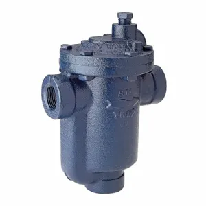 ARMSTRONG WORLD INDUSTRIES 815-100-030 Steam Trap, 1 Inch Size NPT Connections, 10 1/4 Inch Size End to End Length | CN8VGA 36Y211