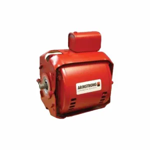 ARMSTRONG WORLD INDUSTRIES 819031-210 Pump Motor, Armstrong, 819031-210, 1/6 Hp, Single Phase, 115V AC, 1 Speed | CN8VCT 788VJ5