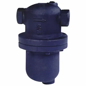 ARMSTRONG WORLD INDUSTRIES DS-1-100 INTERNATIONAL Steam Separator, FNPT, 1 Inch Pipe Size, 3/4 Inch Drain Connection | CN8VBZ 36Y308