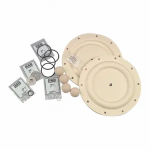 ARO 637161-EB-C Diaphragm Pump Repair Kit | CH9ZYR 4RN05