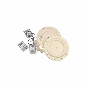 ARO 637309-AA Diaphragm Pump Repair Kit | CH9ZYV 4RN12