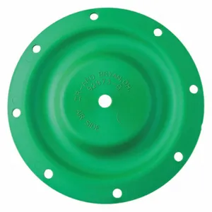 ARO 92973-B Diaphragm, Santoprene | CJ2AAE 42CG35