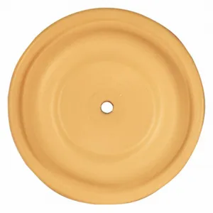 ARO 96533-A Diaphragm, Santoprene | CJ2AAC 42CJ09