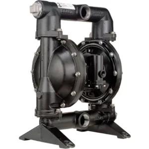 ARO PD15A-ACP-AAA Diaphragm Pump Air Operated Cast-iron | AE8AHY 6CCN8