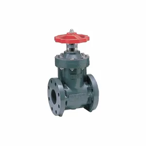 ASAHI 1251100 Gate Valve, 10 Inch Pipe Size, Non-Rising Valve Stem | CN8XBJ 49FA13