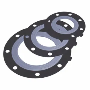 ASAHI 3113100 Flange Gasket, 10 Inch Pipe Size, 15 29/32 Inch Outside Dia, 9 51/64 Inch Inside Dia | CN8XAN 49FC76