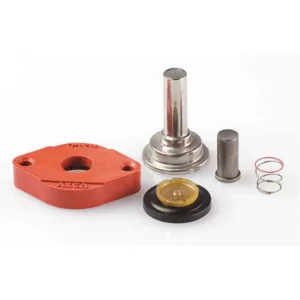 ASCO VALVES 302270 Valve Rebuild Kit With Instructions | AA8WBZ 1AKJ9