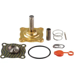 ASCO VALVES 302277 Valve Rebuild Kit With Instructions | AA8WEK 1AKU6