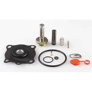 ASCO VALVES 302279 Valve Rebuild Kit With Instructions | AA8WEG 1AKU3