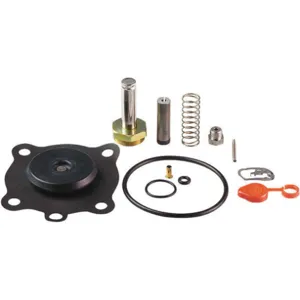 ASCO VALVES 302280 Valve Rebuild Kit With Instructions | AA8WEH 1AKU4