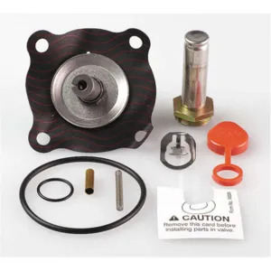 ASCO VALVES 302283 Valve Rebuild Kit With Instructions | AA8WFV 1AKY1