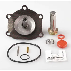 ASCO VALVES 302286 Valve Rebuild Kit With Instructions | AA8WNX 1ALU4