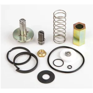 ASCO VALVES 302300 Rebuild Kit | AE8LTG 6DYA7