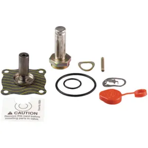 ASCO VALVES 302276 Valve Rebuild Kit With Instructions | AA8WGA 1AKY6