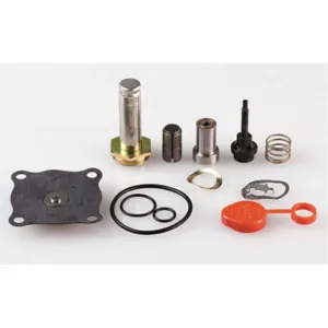 ASCO VALVES 302335 Valve Rebuild Kit With Instructions | AA8WEN 1AKU9