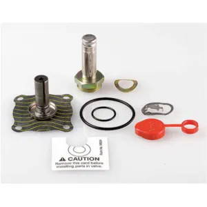 ASCO VALVES 302383 Rebuild Kit | AE8LTL 6DYC1