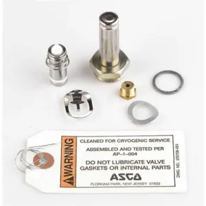 ASCO VALVES 304062 Rebuild Kit | AE8LUG 6DYE0