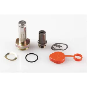 ASCO VALVES 304354 Valve Rebuild Kit With Instructions | AA8WEV 1AKV6