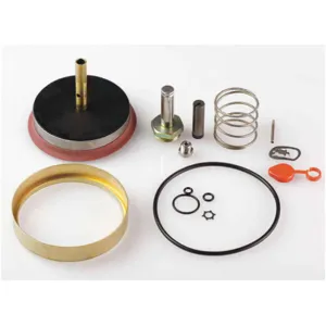 ASCO VALVES 304355 Valve Rebuild Kit With Instructions | AA8WGB 1AKY7