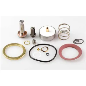 ASCO VALVES 304392 Valve Rebuild Kit With Instructions | AA8WGF 1AKZ2