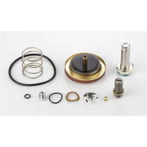 ASCO VALVES 323482 Rebuild Kit For AD9AFK AD9AFN | AE8LWB 6DYJ2