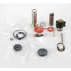 ASCO VALVES 306192 Rebuild Kit | AE8LUR 6DYE9