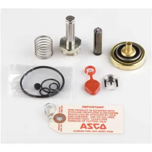 ASCO VALVES 310420-HW Rebuild Kit | AE8LWM 6DYK2