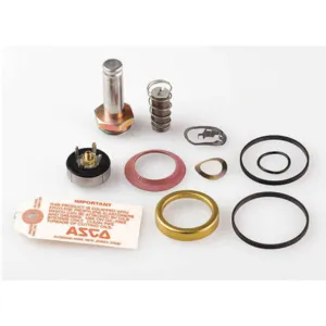 ASCO VALVES 310716 Valve Rebuild Kit With Instructions | AA8WGC 1AKY8