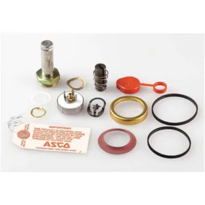 ASCO VALVES 312712 Valve Rebuild Kit With Instructions | AA8WGD 1AKY9