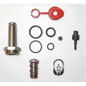 ASCO VALVES 314453 Valve Rebuild Kit With Instructions | AA8WEW 1AKV7