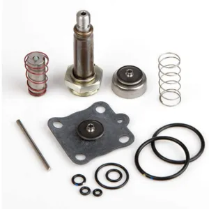 ASCO VALVES 314491 Rebuild Kit | AE8LVB 6DYF8