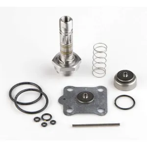 ASCO VALVES 316982 Rebuild Kit | AE8LVH 6DYG4