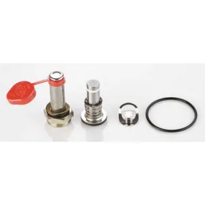 ASCO VALVES 318247 Rebuild Kit For AE4MKK AE4MKL | AE8LVJ 6DYG5